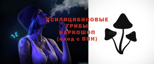 тгк Магас