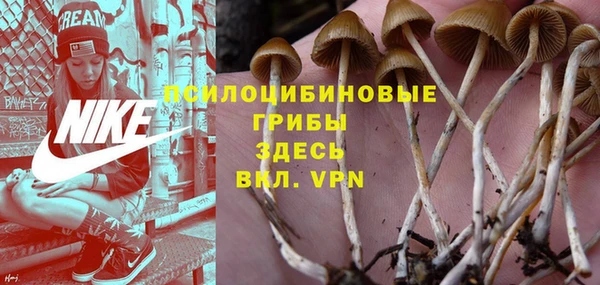 бошки Майский