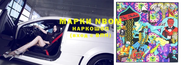 тгк Магас