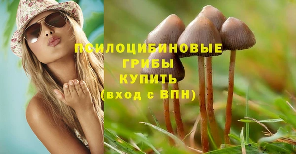 spice Магадан