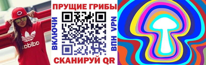 Галлюциногенные грибы Psilocybine cubensis  ОМГ ОМГ сайт  Томилино 